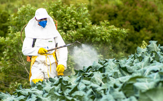 EPA Bans Farming Pesticide Linked to Health Problems in Children