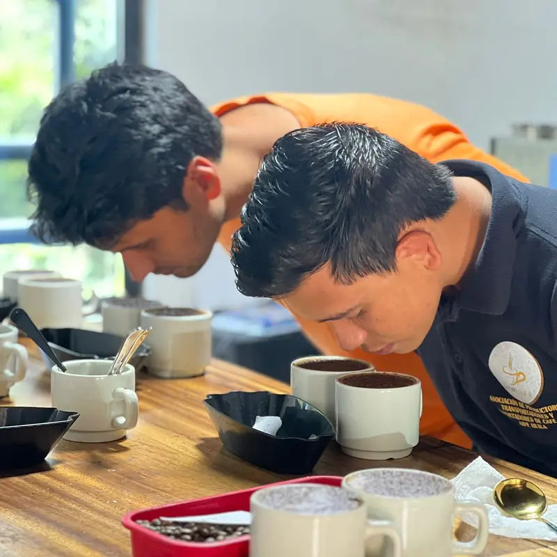 Organic Single Origin Colombia