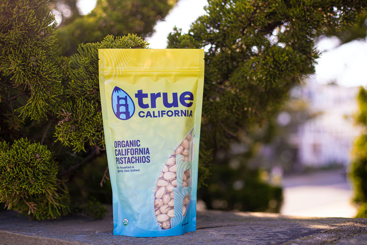 True California Organic Dry Roasted Lightly Sea Salted Pistachios in a 1LB package with a tree in the background