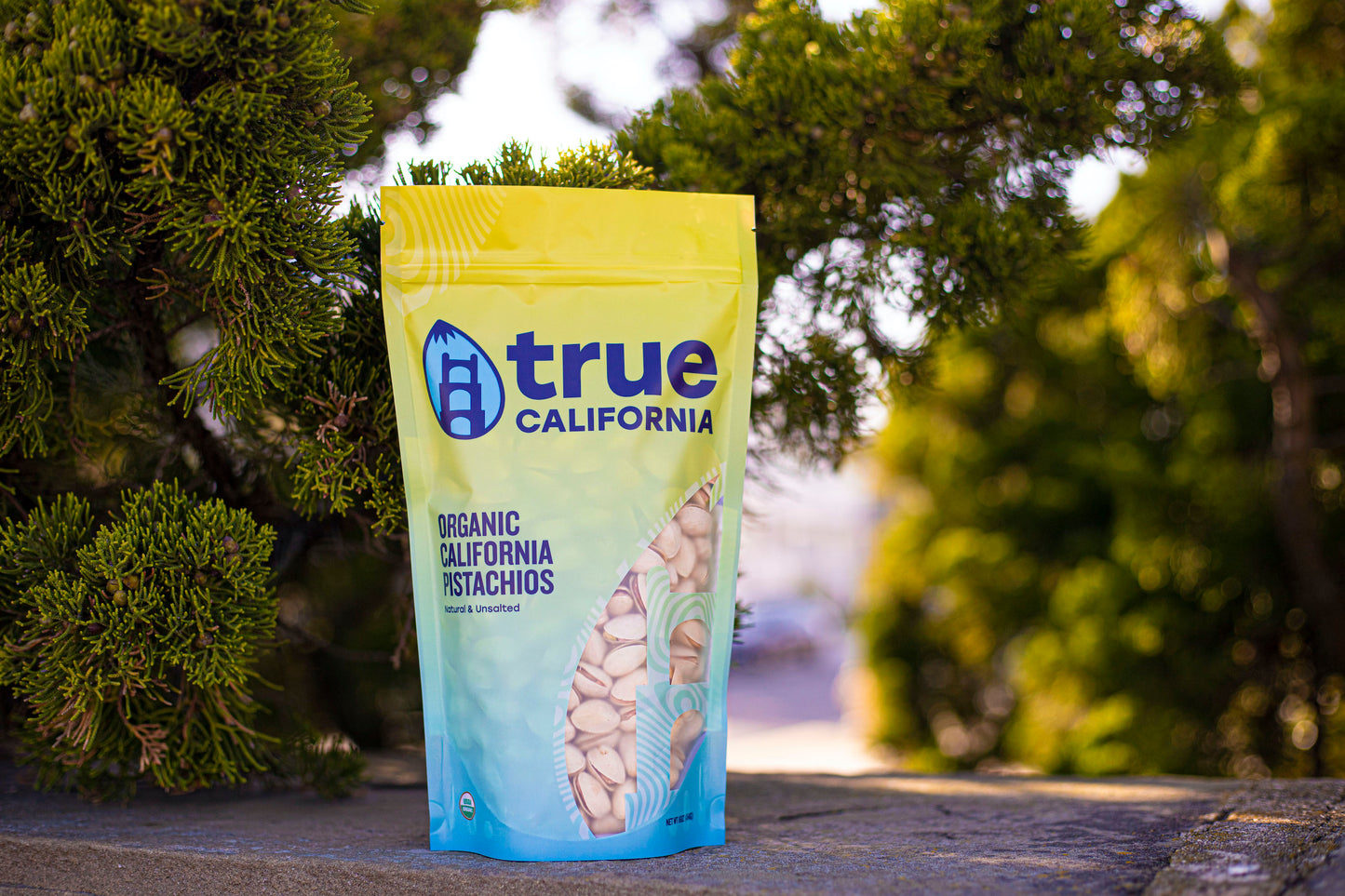True California Organic Natural Raw Unsalted Pistachios in a 1LB package with a tree in the background